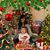 Donna Fandrich Zastawniak's profile image