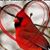 Carol Costello Sulpizio's profile image