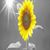 Kari Bartlett Foster's profile image