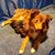 Ruth VanWert's profile image