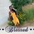Gracia Johnson's profile image