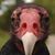James Fehn's profile image