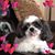 Kelly Allen-Cowie's profile image