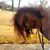 Robin R Lugo's profile image