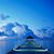 Rosemary Gremillion's profile image