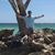 Jeremy Pulcifer's profile image