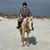 Marie Scippa Malone's profile image