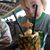 Catherine Bemis's profile image