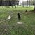 Betty Hallman Hoskins's profile image