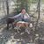 Leigh Thorson's profile image