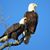 Judie Custer's profile image