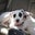 Melissa Venne Rottach's profile image