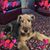 Cindy Kendall's profile image