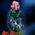 Beatriz Manzo Cruz's profile image