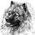Louise Dickson's profile image