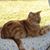 Sherrie Caspers's profile image
