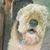 Barbi Hann's profile image
