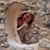 Sara Chandler's profile image