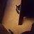 Amanda Pawluk's profile image