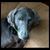 Sherri Campbell's profile image