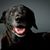 Kim Storbeck's profile image