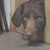 John R. Yeates's profile image
