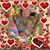 Debra Gast's profile image