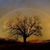 Jose Patino's profile image