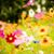 Tonia D. Nevala's profile image