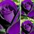 Cecelia Smith's profile image