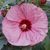 Jennifer Garland Gantner's profile image