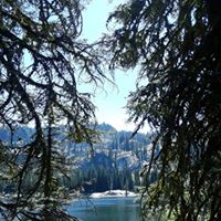 Kendri Lengkeek's profile image