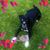 Julie Young's profile image