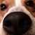 Rusty Doolittle's profile image