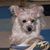 Cindy Jo Moreland's profile image