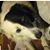 Jennifer D Banks's profile image