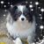 Lisa Bucy DiFrancesco's profile image