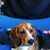 Robin Olwell's profile image