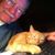Tommy G. Tidwell's profile image