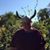 Ed Blanford's profile image