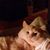 Carol Popp's profile image