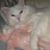 Janet Gregg-Salak's profile image