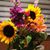 Cindy Eull Wolff's profile image