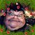 Khryshtal Hammell's profile image