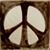 Doug Piero Carey's profile image