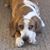 Judy Chauvin Champion's profile image
