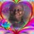 Albert Hill's profile image