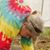 Lucy Owsley's profile image