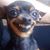 Rick J. Tohme's profile image