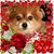 Carmencita Silva's profile image